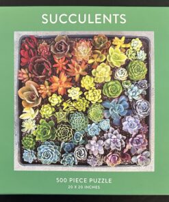 50621 - Galison - 20" x 20" - Jen Tao - Succulents - 500 Piece