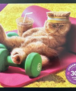 30207 - Ceaco - 24" x 18" - Avanti - Lazy Cat - 300 Piece