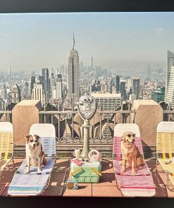 10688 - Gray Malin - 20″ x 27″ – (Rooftop Dogs) - 1000 Piece
