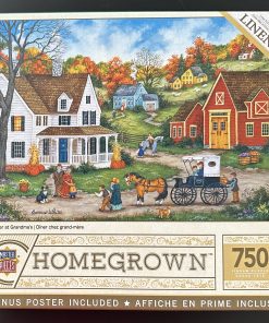 70147 - MasterPieces - 24″ x 18″ – Bonnie White - Dinner at Grandma's - 750 Piece