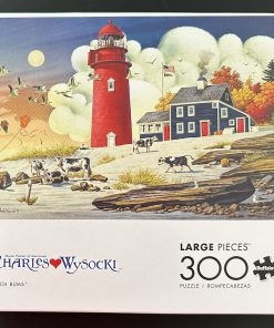 30516 - Buffalo – 21.25″ x 15″ – Charles Wysocki - Beach Bums - 300 Piece