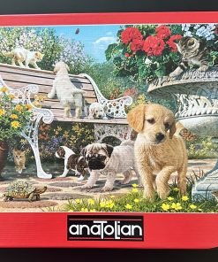 B001 - anaTolian – 14″ x 19″ – Steve Read - Pets Hide and Seek – 260 Piece